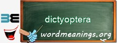 WordMeaning blackboard for dictyoptera